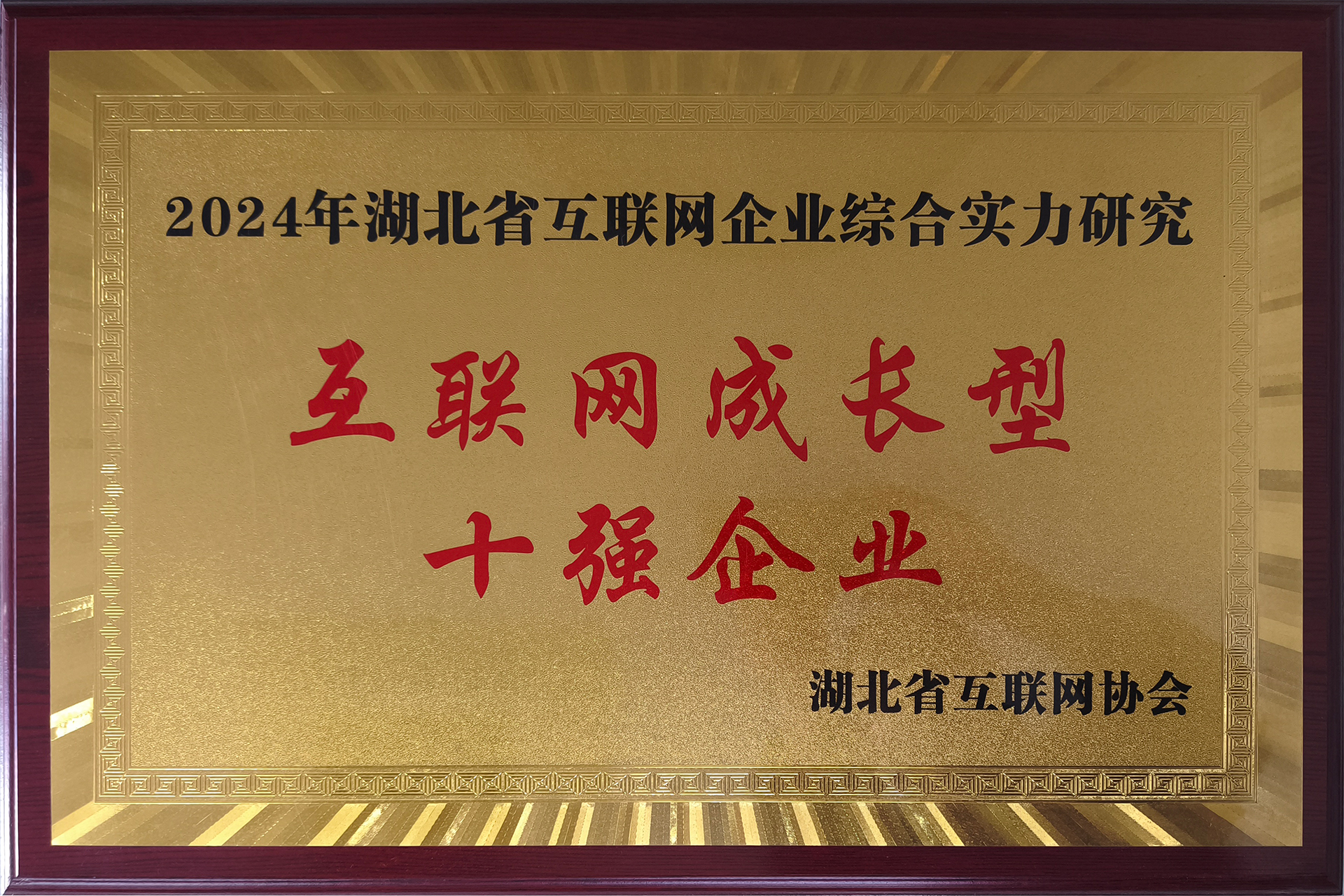 2024年湖北省互联网成长型十强企业